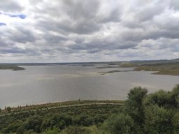 Flora del Cerro Masatrigo